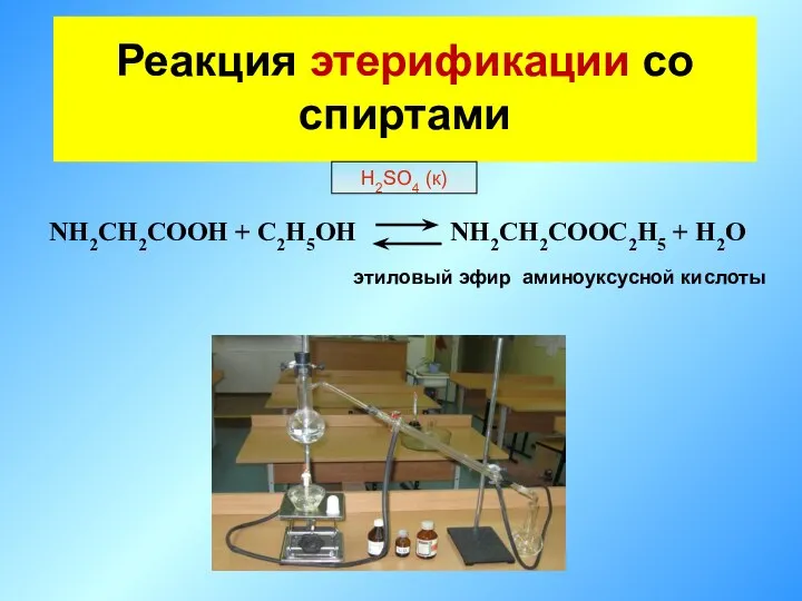 Реакция этерификации со спиртами NH2CH2COOH + C2H5OH NH2CH2COOC2H5 + H2O H2SO4 (к) этиловый эфир аминоуксусной кислоты