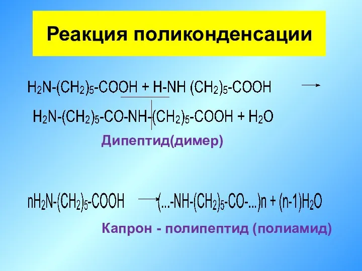 Дипептид(димер) Капрон - полипептид (полиамид) Реакция поликонденсации