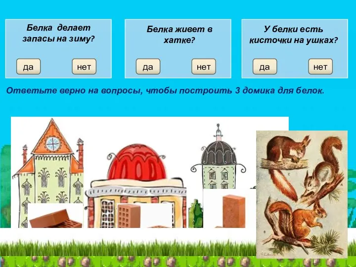 Белка делает запасы на зиму? да нет да нет да нет Ответьте