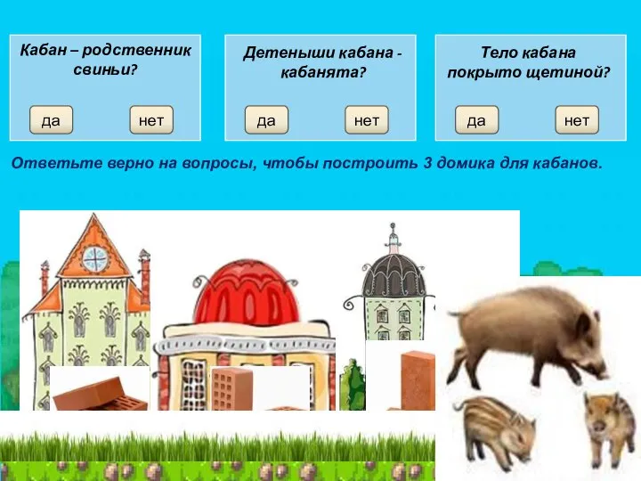 Кабан – родственник свиньи? да нет да нет да нет Ответьте верно