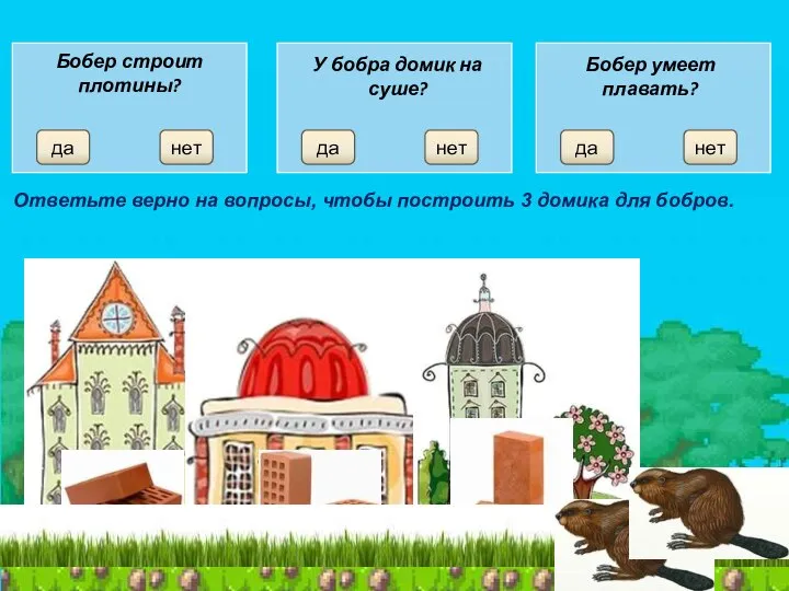 Бобер строит плотины? да нет да нет да нет Ответьте верно на