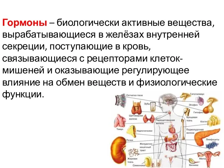 Гормоны – биологически активные вещества, вырабатывающиеся в желёзах внутренней секреции, поступающие в