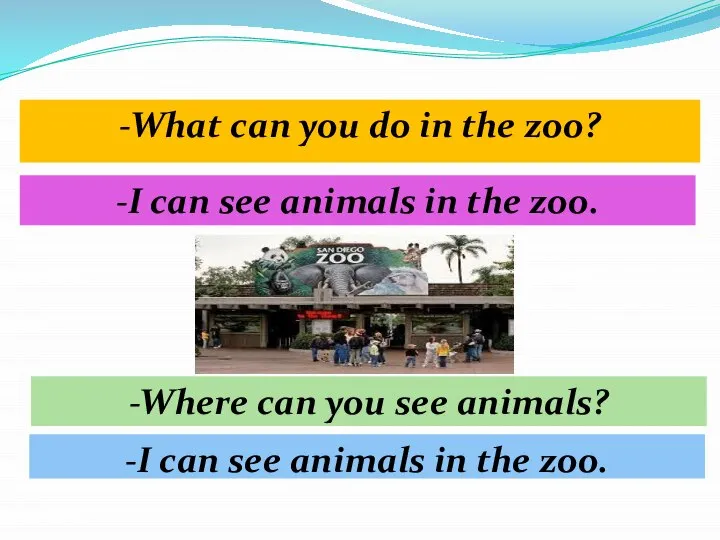 -What can you do in the zoo? -I can see animals in