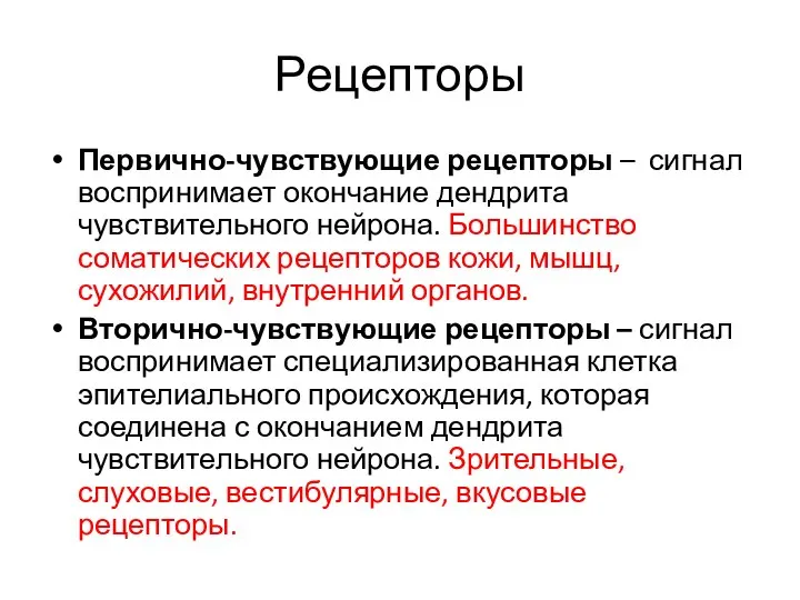 Рецепторы Первично-чувствующие рецепторы – сигнал воспринимает окончание дендрита чувствительного нейрона. Большинство соматических