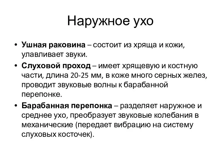 Наружное ухо Ушная раковина – состоит из хряща и кожи, улавливает звуки.