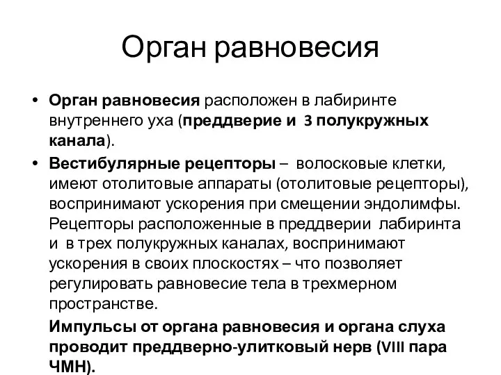 Орган равновесия Орган равновесия расположен в лабиринте внутреннего уха (преддверие и 3