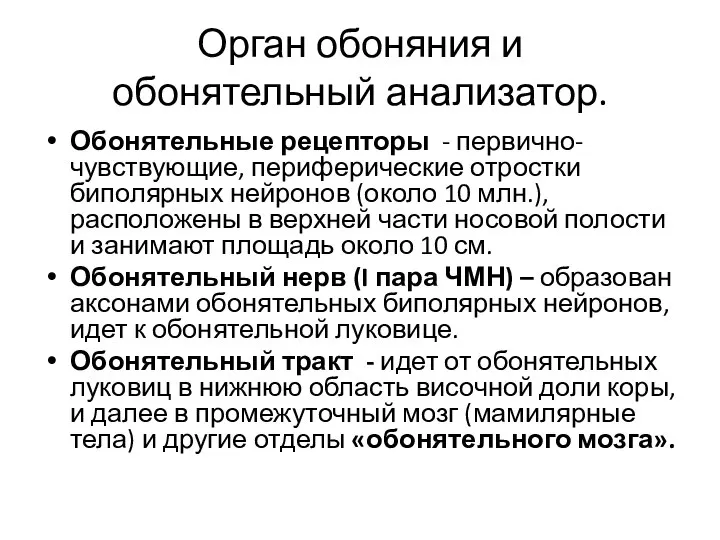 Орган обоняния и обонятельный анализатор. Обонятельные рецепторы - первично-чувствующие, периферические отростки биполярных