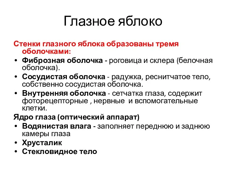 Глазное яблоко Стенки глазного яблока образованы тремя оболочками: Фиброзная оболочка - роговица