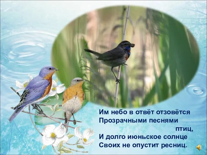 Им небо в отвёт отзовётся Прозрачными песнями птиц, И долго июньское солнце Своих не опустит ресниц.