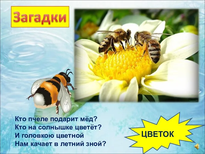 Кто пчеле подарит мёд? Кто на солнышке цветёт? И головкою цветной Нам