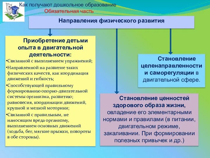 Приобретение детьми опыта в двигательной деятельности: Связанной с выполнением упражнений; Направленной на