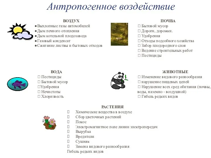 Антропогенное воздействие ВОЗДУХ Выхлопные газы автомобилей Дым печного отопления Дым котельной плодозавода