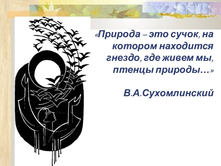 «Природа – это сучок, на котором находится гнездо, где живем мы, птенцы природы…» В.А.Сухомлинский