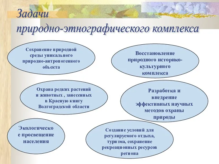 Задачи природно-этнографического комплекса Сохранение природной среды уникального природно-антропогенного объекта Восстановление природного историко-культурного