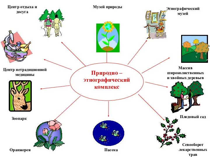 Природно – этнографический комплекс Центр отдыха и досуга Музей природы Центр нетрадиционной