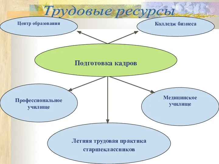 Трудовые ресурсы Колледж бизнеса Центр образования Подготовка кадров Медицинское училище Профессиональное училище Летняя трудовая практика старшеклассников