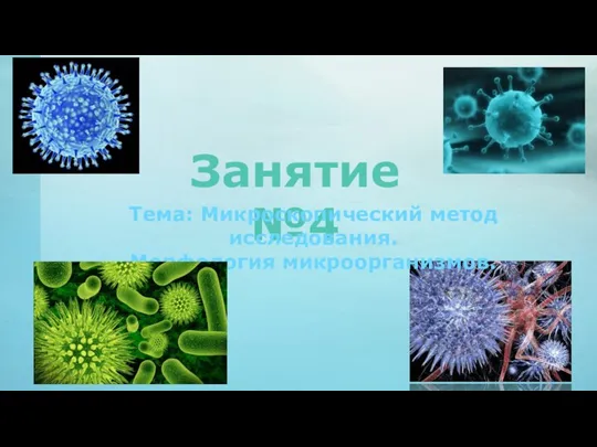 Занятие№4 Тема: Микроскопический метод исследования. Морфология микроорганизмов.