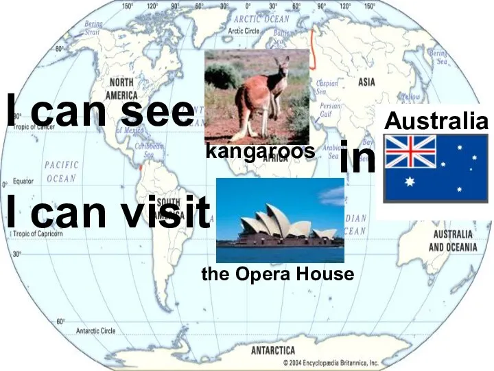 I can see I can visit kangaroos the Opera House in. . .