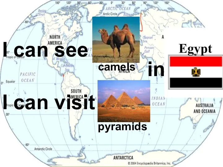 I can see I can visit in. . . camels pyramids