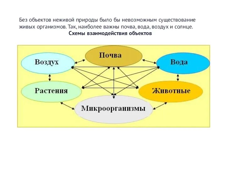 Без объектов неживой природы было бы невозможным существование живых организмов. Так, наиболее