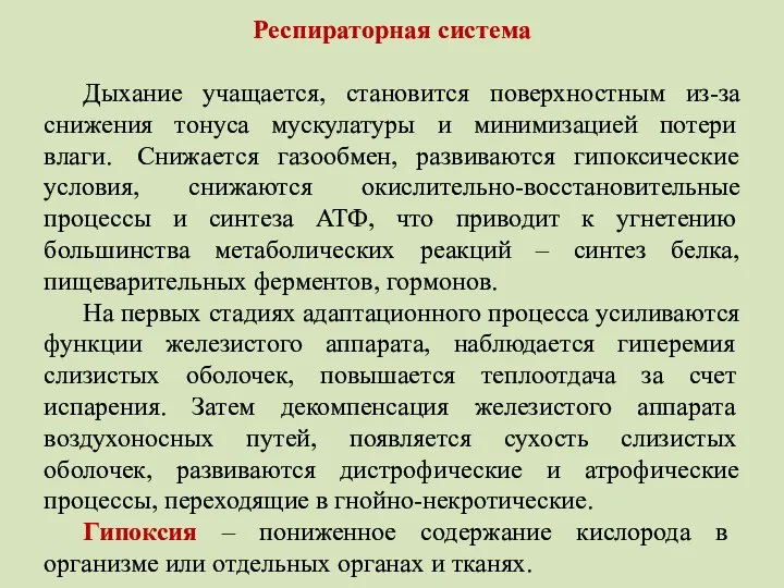 Респираторная система Дыхание учащается, становится поверхностным из-за снижения тонуса мускулатуры и минимизацией