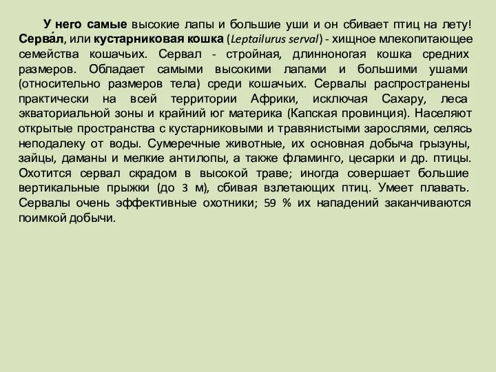 У него самые высокие лапы и большие уши и он сбивает птиц