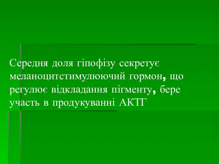 Середня доля гіпофізу секретує меланоцитстимулюючий гормон, що регулює відкладання пігменту, бере участь в продукуванні АКТГ