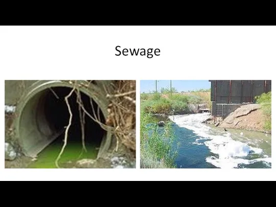 Sewage