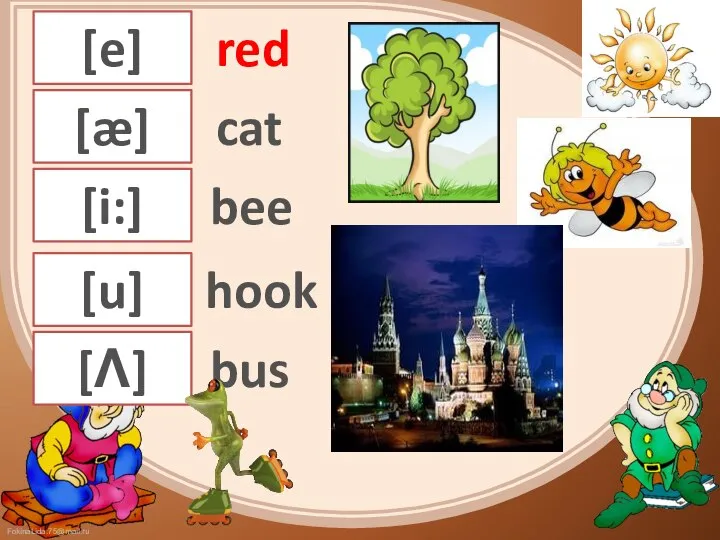 [e] [æ] [i:] [u] [Λ] bus hook bee cat red