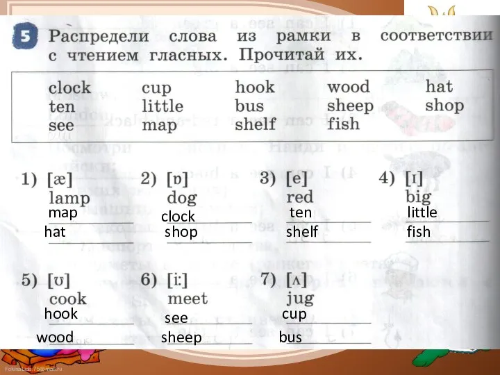 map hat clock shop ten shelf little fish hook wood see sheep cup bus