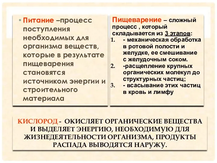 КИСЛОРОД - ОКИСЛЯЕТ ОРГАНИЧЕСКИЕ ВЕЩЕСТВА И ВЫДЕЛЯЕТ ЭНЕРГИЮ, НЕОБХОДИМУЮ ДЛЯ ЖИЗНЕДЕЯТЕЛЬНОСТИ ОРГАНИЗМА,