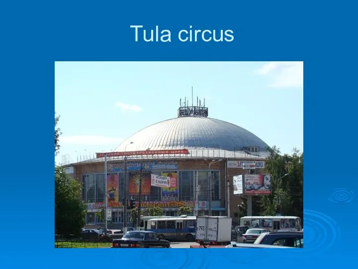 Tula circus