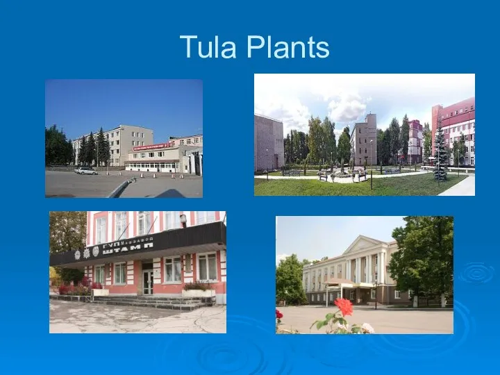 Tula Plants
