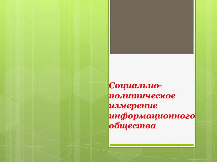 Социально-политическое измерение информационного общества