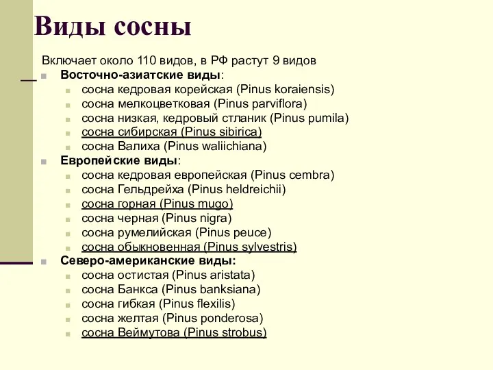 Виды сосны Включает около 110 видов, в РФ растут 9 видов Восточно-азиатские