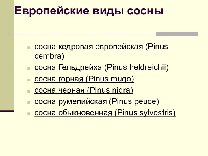 Европейские виды сосны сосна кедровая европейская (Pinus cembra) сосна Гельдрейха (Pinus heldreichii)