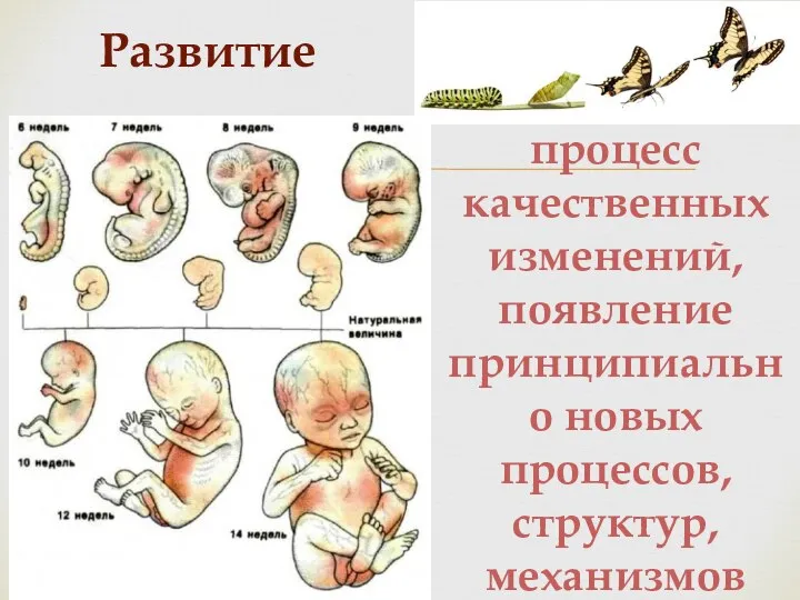 Развитие процесс качественных изменений, появление принципиально новых процессов, структур, механизмов