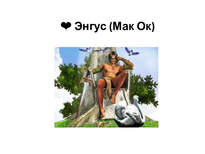 ❤ Энгус (Мак Ок)