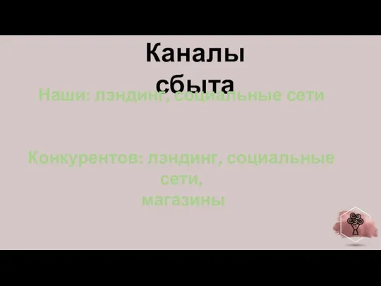 Каналы сбыта Наши: лэндинг, социальные сети Конкурентов: лэндинг, социальные сети, магазины