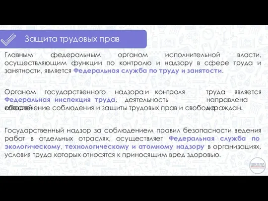 Защита трудовых прав Главным федеральным органом исполнительной власти, осуществляющим функции по контролю