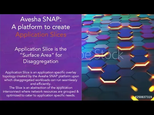 Avesha SNAP: A platform to create Application Slices Application Slice is the