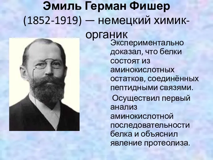 Эмиль Герман Фишер (1852-1919) — немецкий химик-органик Экспериментально доказал, что белки состоят