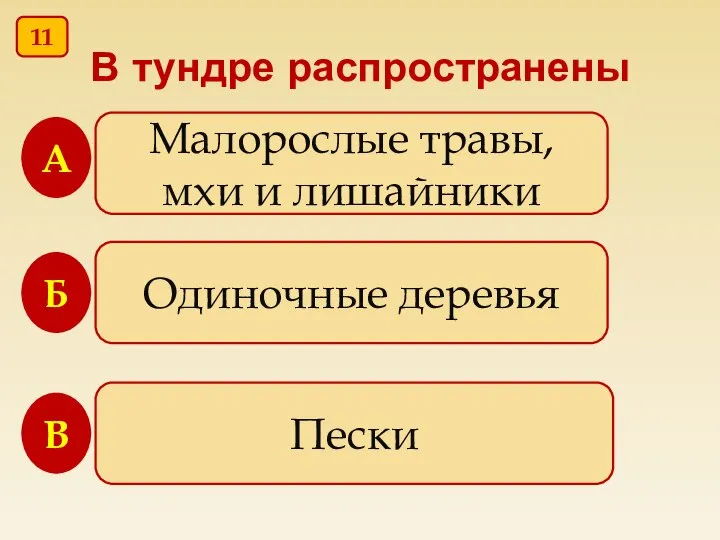 В тундре распространены Малорослые травы, мхи и лишайники Одиночные деревья Пески В Б А 11