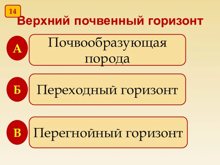 Верхний почвенный горизонт Почвообразующая порода Переходный горизонт Перегнойный горизонт В Б А 14