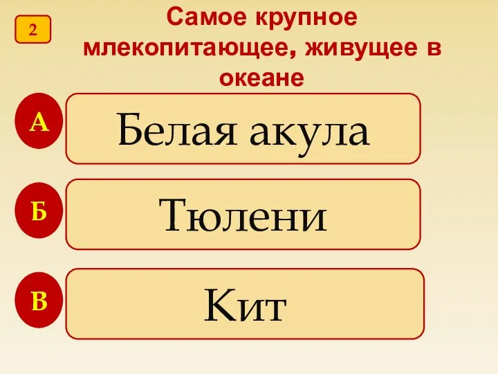 Самое крупное млекопитающее, живущее в океане Белая акула Тюлени Кит А Б В 2