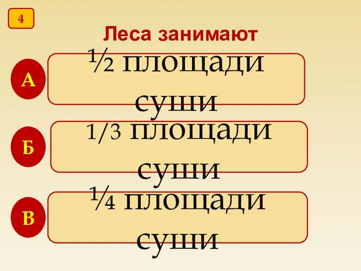 Леса занимают ½ площади суши 1/3 площади суши ¼ площади суши В Б А 4