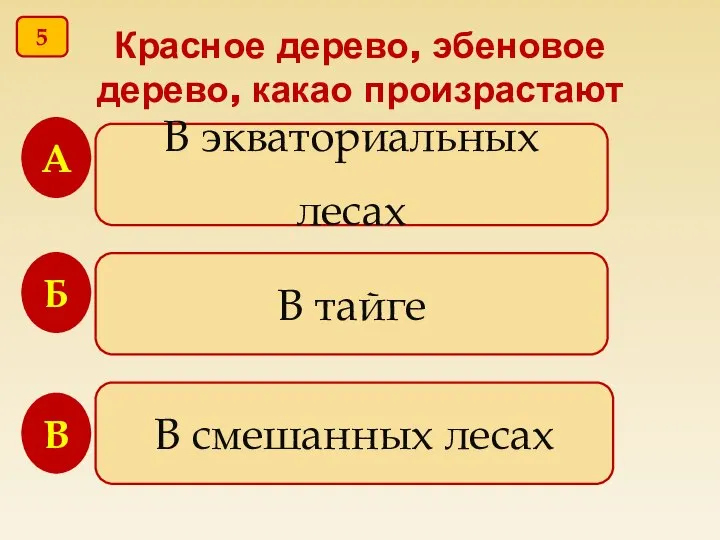 Красное дерево, эбеновое дерево, какао произрастают В экваториальных лесах В тайге В