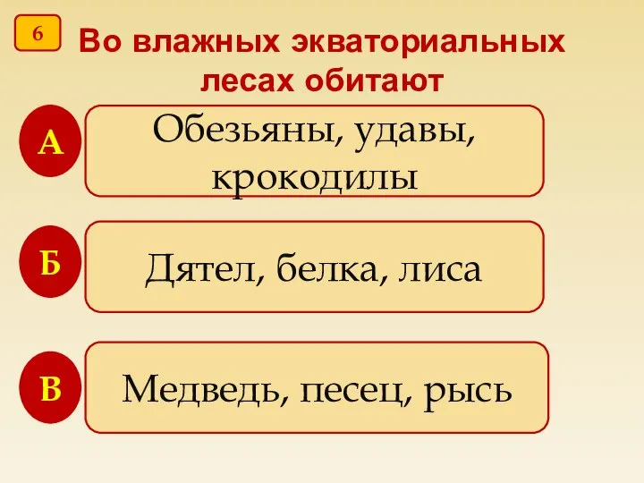 Во влажных экваториальных лесах обитают Обезьяны, удавы, крокодилы Дятел, белка, лиса Медведь,