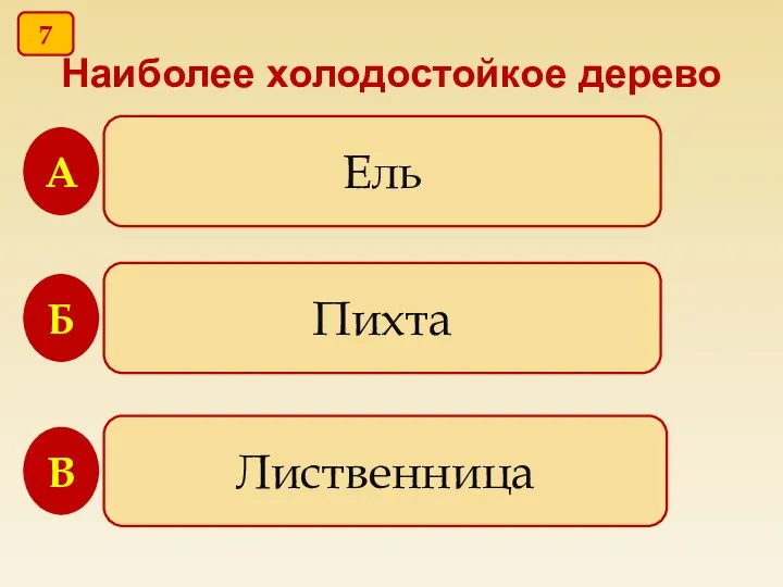 Наиболее холодостойкое дерево Ель Пихта Лиственница В Б А 7