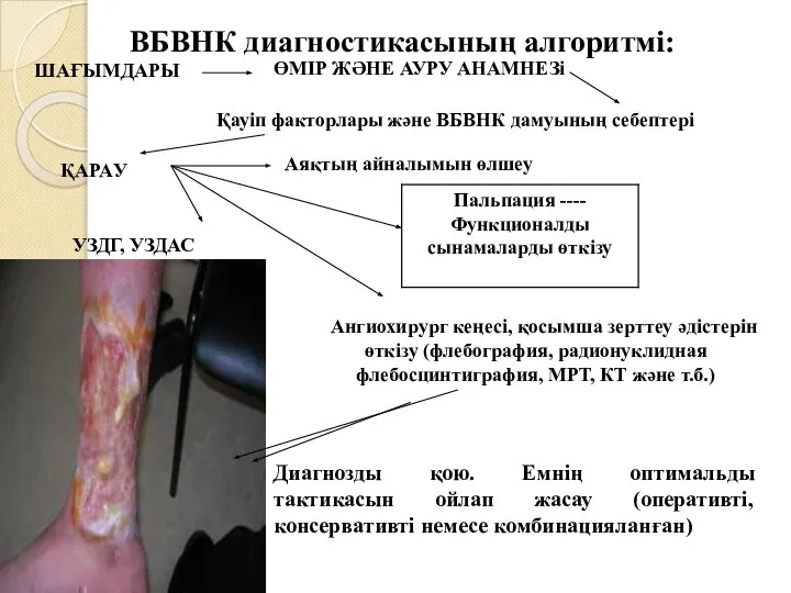 ВБВНК диагностикасының алгоритмі: ШАҒЫМДАРЫ ӨМІР ЖӘНЕ АУРУ АНАМНЕЗі Қауіп факторлары және ВБВНК